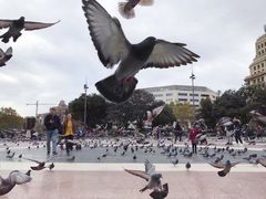 -加泰罗尼亚广场