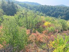 -磬锤峰森林公园