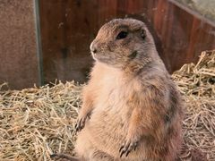 -海合安武汉极地海洋公园