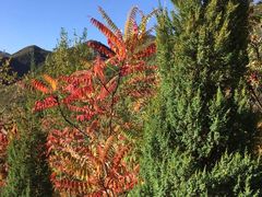 -白草畔自然风景区