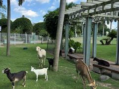 -东南花都花博园