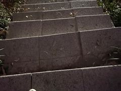 -小南山公园