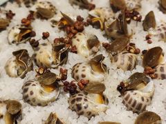 盐焗花螺-华盛丰温州大排档(东三环南路店)