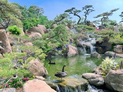 -罗红摄影艺术馆