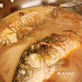 继续鲫鱼下去 这次买两条稍微大点的