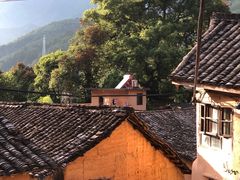-杨家堂村