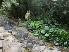 -广州市白云山风景名胜区