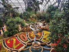 -南山植物园