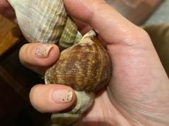 -嘉定凯悦·咖啡厅