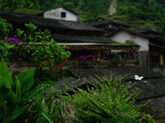 -林坑古村落