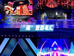 -海合安武汉极地海洋公园