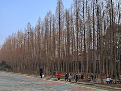 -南京金牛湖风景区