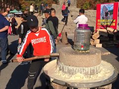 -天女山森林公园