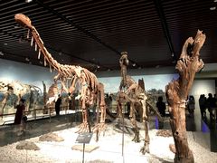 -南京维景国际大酒店(南京博物院店)