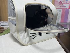 -瑞派长江宠物医院·猫科·外科·24小时夜护(谊城公寓分院)
