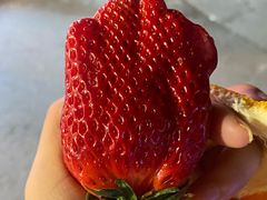 -棒约翰比萨·意面(肇嘉浜路店)