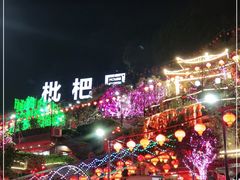 -枇杷园食为鲜火锅(南山店)