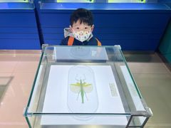 -上海昆虫博物馆