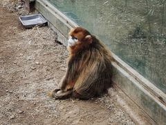 -济南野生动物世界