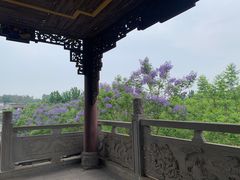 -黄龙溪古镇