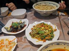 -韩师傅老大同刀削面(北苑路店)