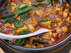 -陈麻婆豆腐总店