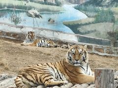 -西霞口神雕山野生动物世界