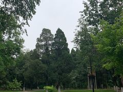 -北京大学赛克勒考古与艺术博物馆
