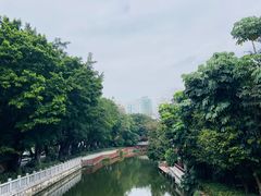-荔湾湖公园
