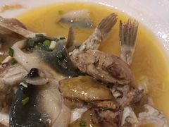 -9号小厨师(端平桥店)