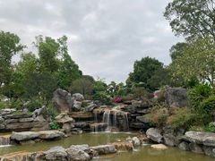 -东莞植物园