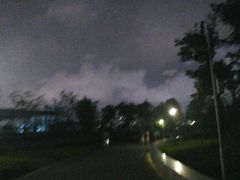 -宝安西湾红树林湿地公园