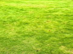 -健眺小海鲜(临海后山店)