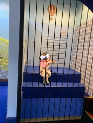 -咔叮卡丁·儿童室内赛车馆