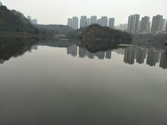 -重庆彩云湖湿地公园