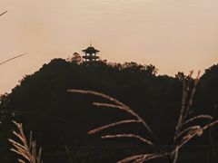 -金海湾滨江公园