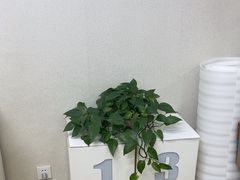 -百邦苹果官方授权维修(文景大厦店)