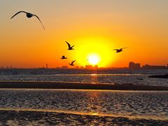 -老虎石海上公园