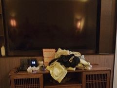 -君道天沐养生会所