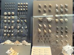 -上海中国航海博物馆