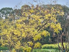 -茅草房·河畔园林火锅