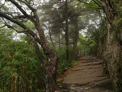 -洛阳白云山景区
