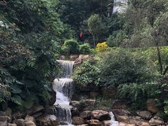 -广州市帽峰山景区