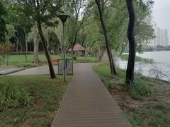 -高子水居