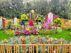 -上海共青森林公园