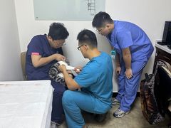 -美联众合动物医院·24h转诊中心