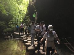 -牛背梁国家森林公园