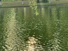 -石家庄市植物园