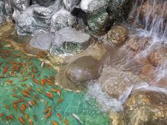 -上海大自然野生昆虫馆(东方明珠·爬宠昆虫探索中心)