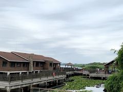 -新木器时代餐厅(太湖新天地店)